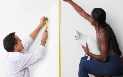 Installing Your Cat Wall System