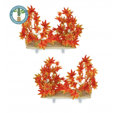 Canopy Rectangle Cat Wall Shelves with Leaves - ORANGE BLAZE  - Set of (2)