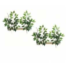 Canopy Rectangle Cat Wall Shelves with Leaves - Set of (2) CN003