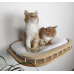 Rounded Front Wooden Cat Wall Shelf for BIG CATS + 2 Steps