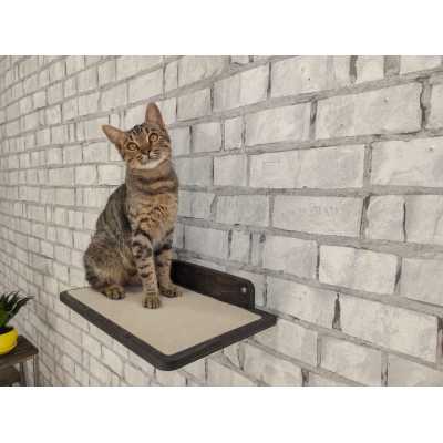 Wide Wall Mounted Cat Shelf