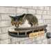 Rounded Front Wooden Cat Wall Shelf