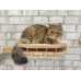 Rounded Front Wooden Cat Wall Shelf + 2 Steps