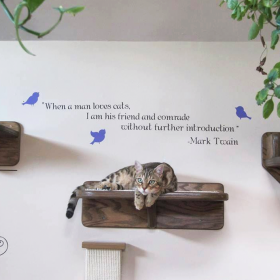 Accessorizing Your Cat Wall System