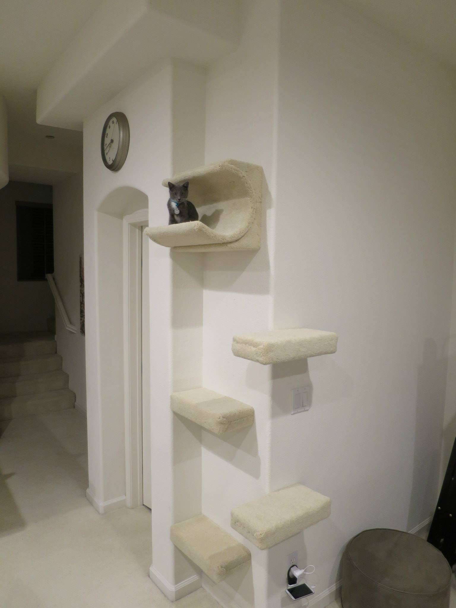 Cat Wall Shelves Customer Photo Gallery - CatWallShelves Superstore