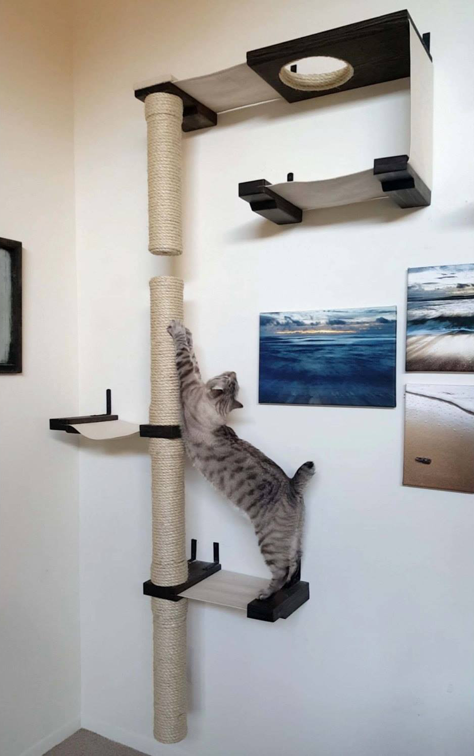 29 HQ Pictures Outdoor Cat Climbing Shelves - Cat Furniture Climbing Wall Shelves