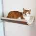 Curve Wall Cat Bed - Walnut/Cream