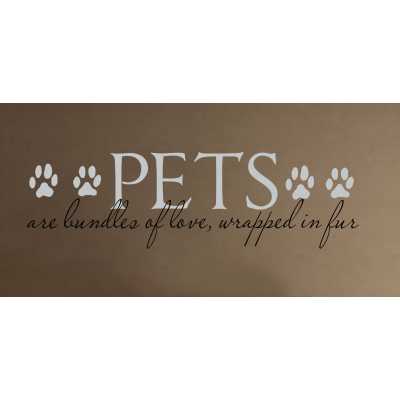 Cat Themed Wall Accent Decal - Pets are Bundles of Love