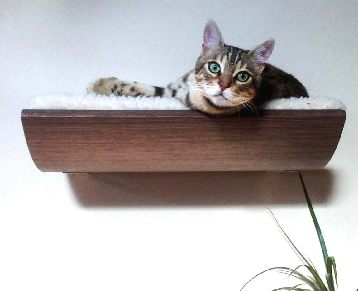 cat wall shelf in action