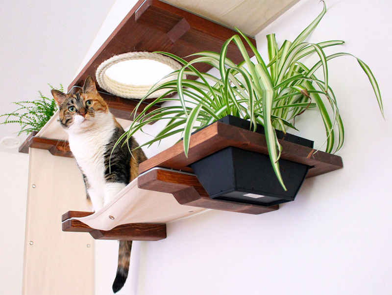 cat wall planters